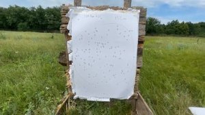 Чок Джемини 0,76 и дробь№4