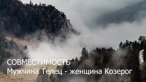 Совместимость мужчины Тельца и женщины Козерога