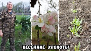 Наш апрельский огород / Опять на щавелевый промысел / Детки в клетке