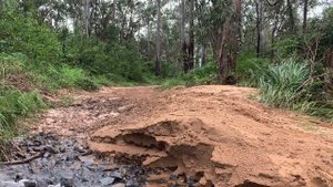 Kayo tt160 pit bike, muddy, rainy and a whole lot of fun!