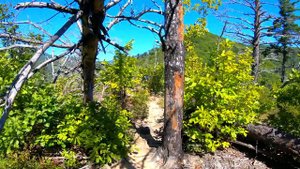 Приморский край- Парк Драконов, Радоновые источники, с.Чистоводное.Dragon Park, Radon springs, walk