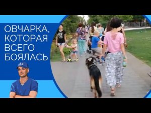 Как сейчас овчарка Герда,которая всего боялась