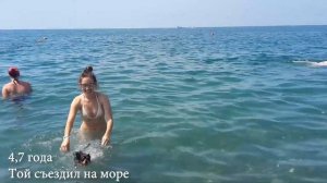 Как растёт той терьер по месяцам или Тою 8 лет