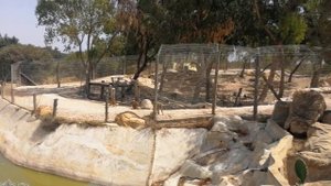 Зоопарк Фригия в Тунисе | Friguia Park of Tunisia | Можно ли сэкономить на поездке в зоопарк Фригия
