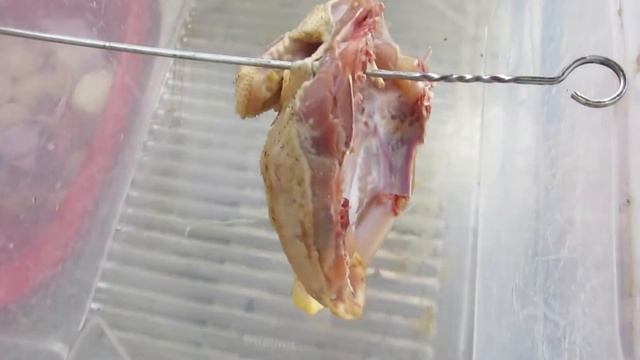 Копчение курицы горячим способом.