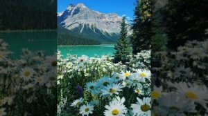 какие дорамы у тебя появились?