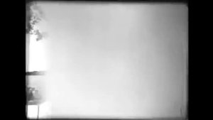 Древесина и ее свойства, влажность и усушка