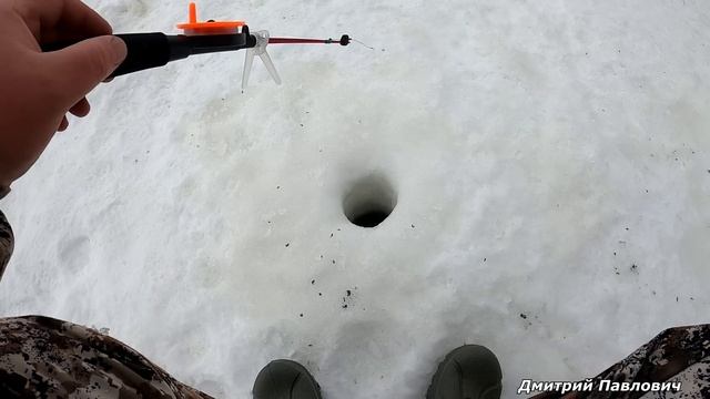 НАШЁЛ МЕСТО ГДЕ ЖИВЕТ РЫБА! ЗАБУРИЛСЯ И ДАВАЙ ТАСКАТЬ. "ПЕРЕПЛЮЙКА" СНОВА РАЗДАЁТ. Рыбалка 2023