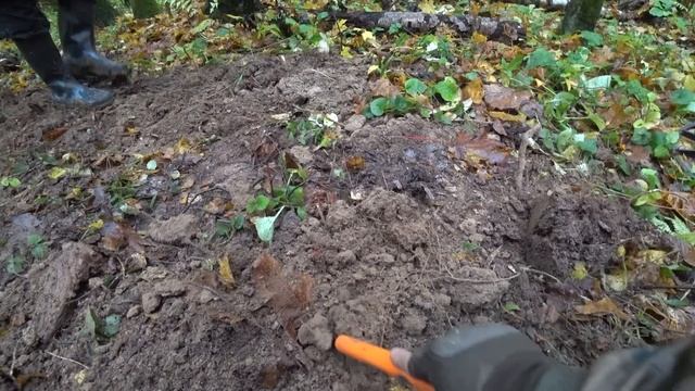 Коп в лесу, на горе, у старого озера. Собираем чешую.