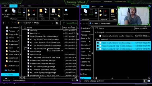 How to Download and Use the Functional Toaster Mod смотреть онлайн