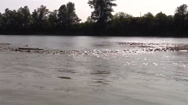 Сплав по Кубани смотреть онлайн