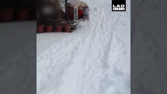 Вот чем , можно заняться зимой смотреть онлайн