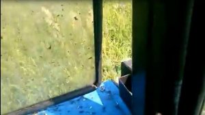 Первый запуск роторной косилки  КРН-2.1
