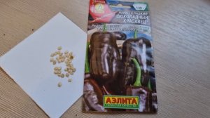 Перец Шоколадный красавец. Раннеспелый