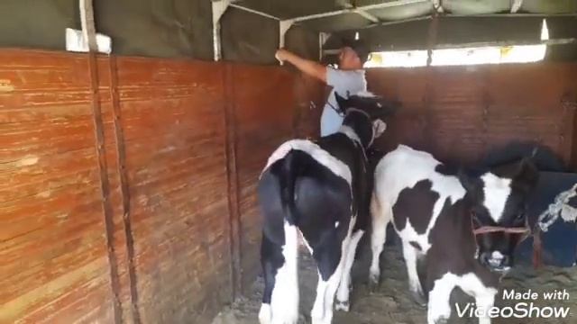 молора равон кардем Душанбеба такси Душанбе +992927043204 смотреть онлайн