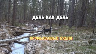 От зимовья к зимовью.