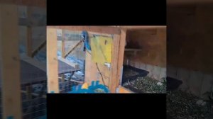 Поилки для кроликов с подогревом. Эксперимент часть 1.