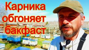 Пришло тепло - ставлю магазины/ревизия и расширение магазинами на втором точке/ майский мёд