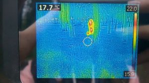 Тепловизор и человек, тепловизор и собака