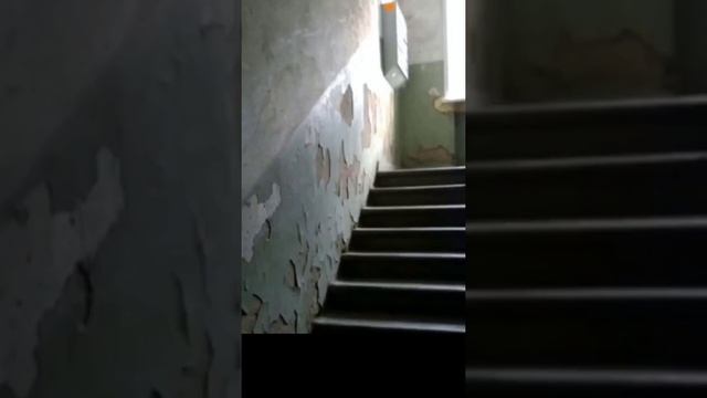 Работай в удовольствие из любой точки мира ?#работаудаленно #работамечтысуществует.mp4