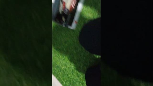 моя коллекция видеокассет