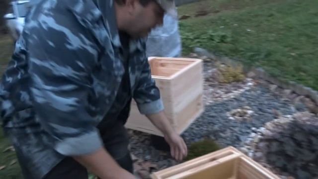 УЛЕЙ ДАДАН НА 12 РАМОК С МАГАЗИНАМИ НА 145 РАМКУ. ОБЗОР