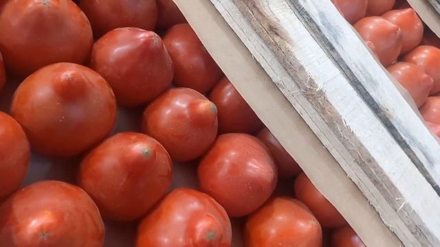 7 июня 2022 г.Ростовские и Украинские, Азербайджанские помидоры, фуд - сити, ?? Краснодарский линия смотреть онлайн