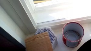 ЭПС Гребенникова Реальный эффект