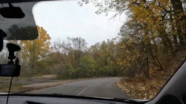 Поездка по осеннему Воронежу 2022. СХИ-Джунгли и серпантин в городе #воронеж #voronezh смотреть онлайн