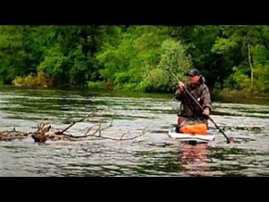 Спасение косули. Момент второго дня сплава на сапбордах в половодье по реке Хопёр.