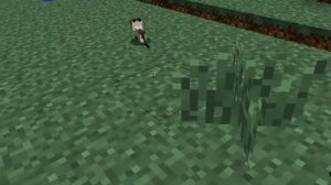 Как размножать животных в Minecraft+Приручение оцелота