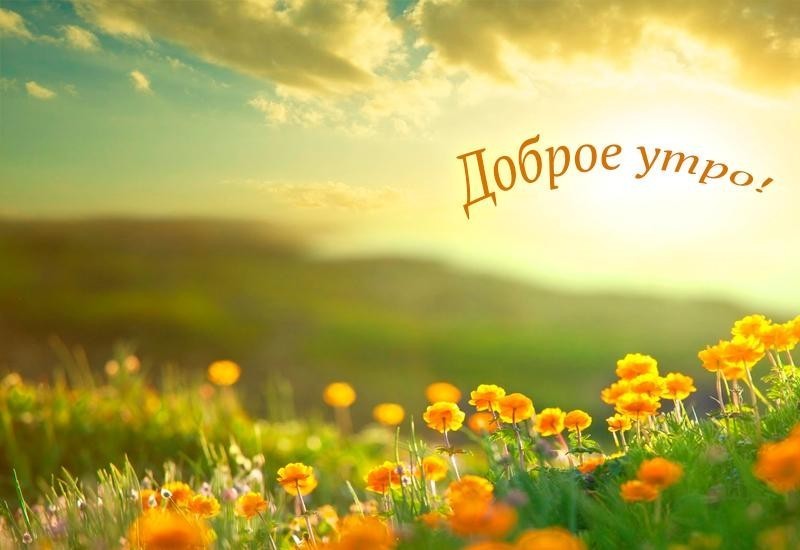 Доброе летнее утречко прикольные картинки