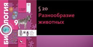 Параграф 20. Разнообразие животных