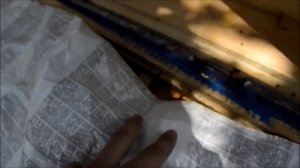 Подкормка пчел сахарным сиропом с апимаксом