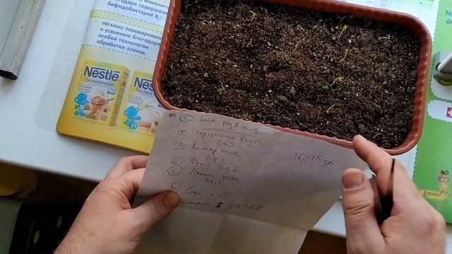Придется рассказать правду о всхожести семян томата от агрофирмы 