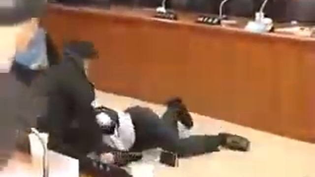 Иппон в японском парламенте. смотреть онлайн