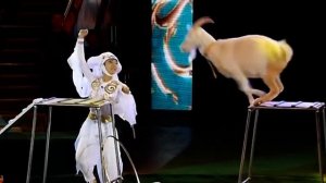 Цирк востока в Алматы