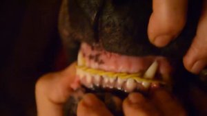 как исправить прикус