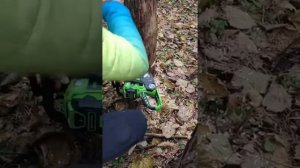 Тест аккумуляторной цепной пилы Greenworks G40CS30