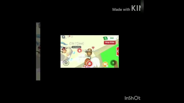 Что дают за Флай и Райд Red panda? ?
