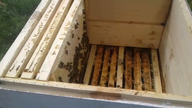 информация по маткам и др. смотреть онлайн