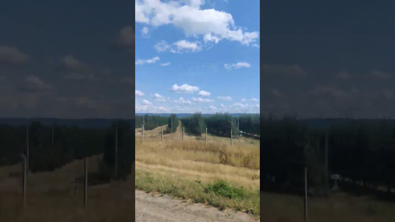 Дорога в предгорьях Кавказа, Майкоп, Адыгея #travel