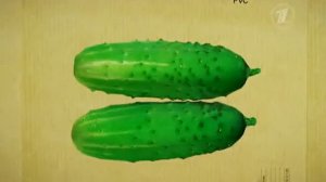 Еда. Контрольная закупка. Консервы "Шпроты в масле"