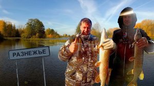 Трудовая рыбалка на Чебоксарке.Спиннинг в травнике на вертушки.