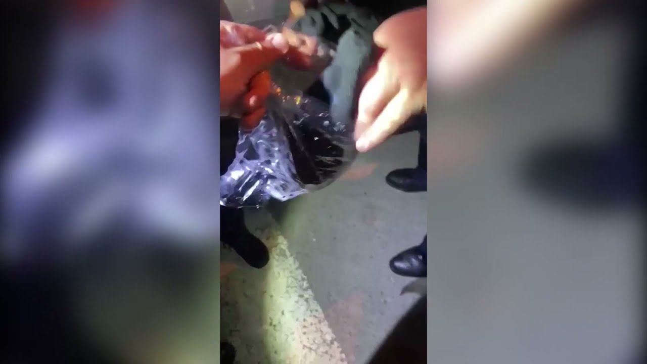В Краснодарском крае полицейские задержали водителя с крупной партией наркотиков