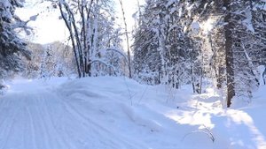 Гора Мамай Бурятия - как добраться