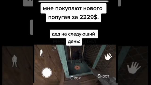 Самый дорогой попугай в мире! смотреть онлайн