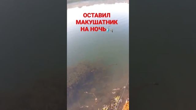 Узнал что обитает на безхозном озере? смотреть онлайн