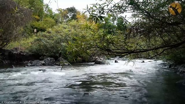 The Best Saxophone Music Of All Time - Saxophone Romantic Songs Instrumental Background Music