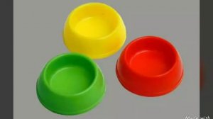 Что нужно для появления сирийского хомяка в доме?